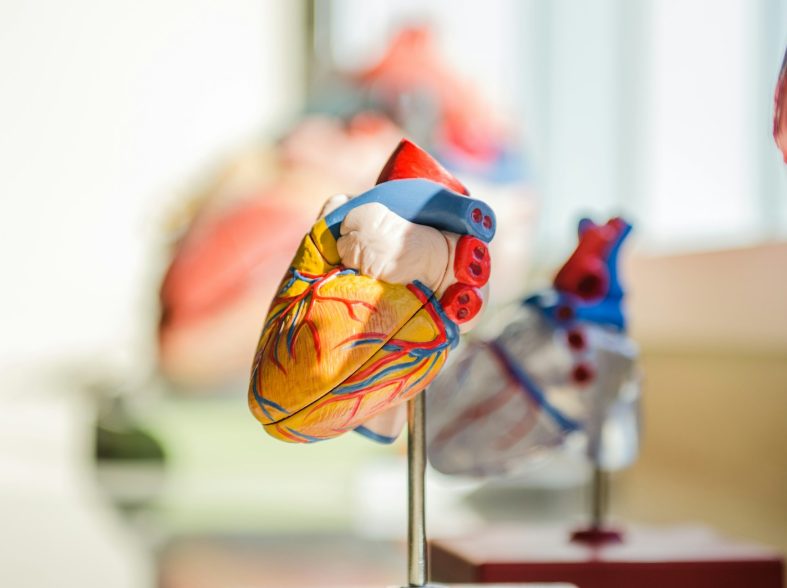 cohérence cardiaque : bienfaits pour la santé auditive