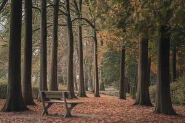 Les impacts du silence total sur le sommeil et la santé mentale