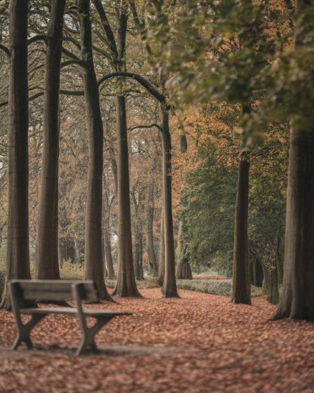 Les impacts du silence total sur le sommeil et la santé mentale